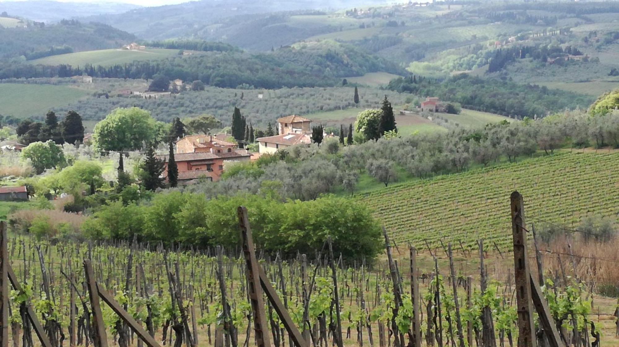 Agriturismo Podere La Cava 메르카탈레 발 디 페사 외부 사진